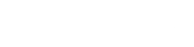 Vale Consultores